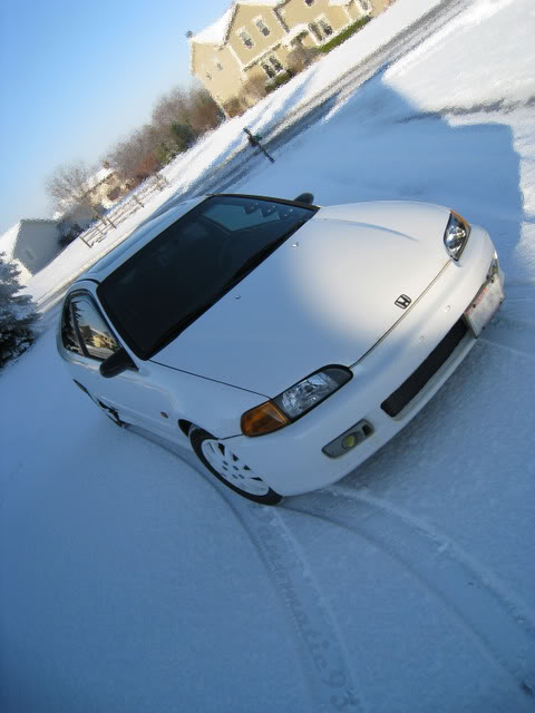 Name:  IMG_1302edit2.jpg
Views: 57
Size:  48.1 KB