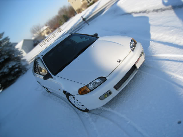 Name:  IMG_1303edit.jpg
Views: 55
Size:  40.4 KB