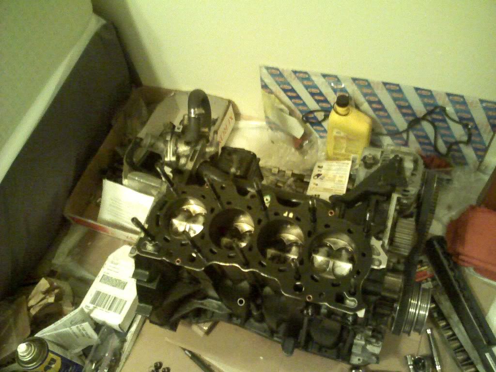 Name:  PIC-0210.jpg
Views: 37
Size:  119.0 KB