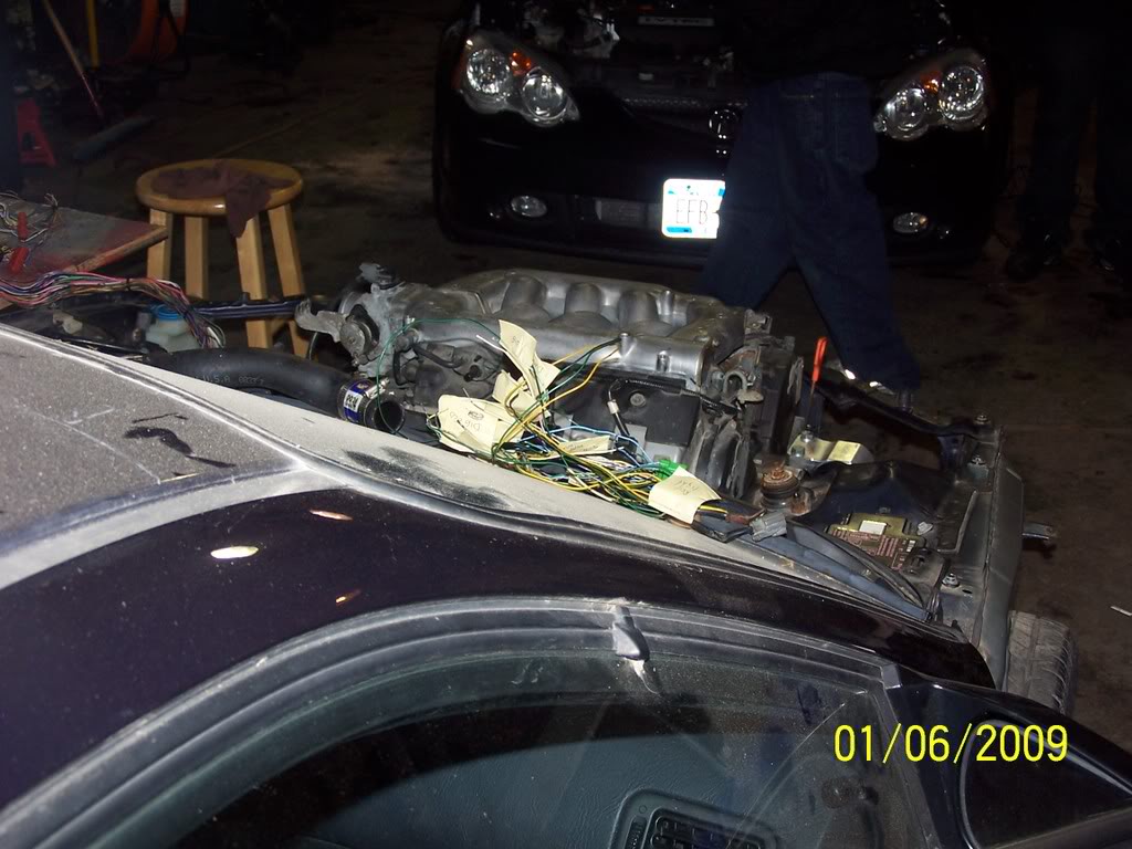Name:  Newkitt275.jpg
Views: 581
Size:  116.4 KB