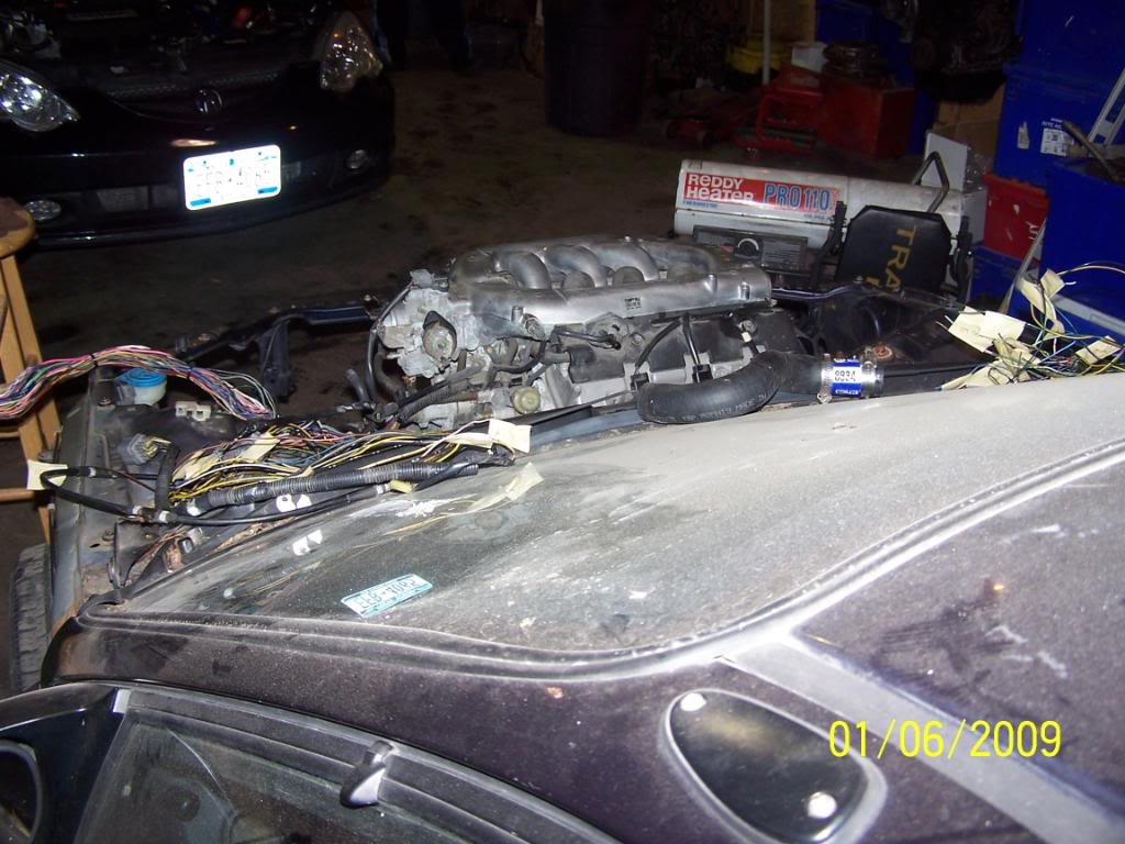 Name:  Newkitt263.jpg
Views: 584
Size:  113.8 KB