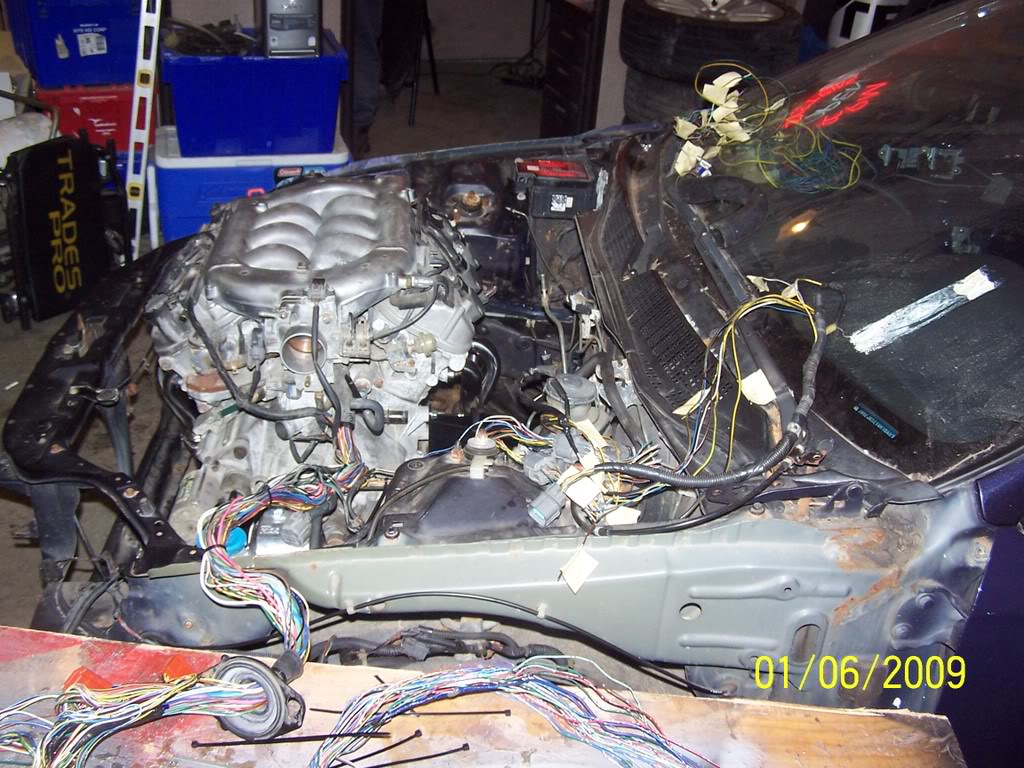 Name:  Newkitt262.jpg
Views: 600
Size:  179.2 KB