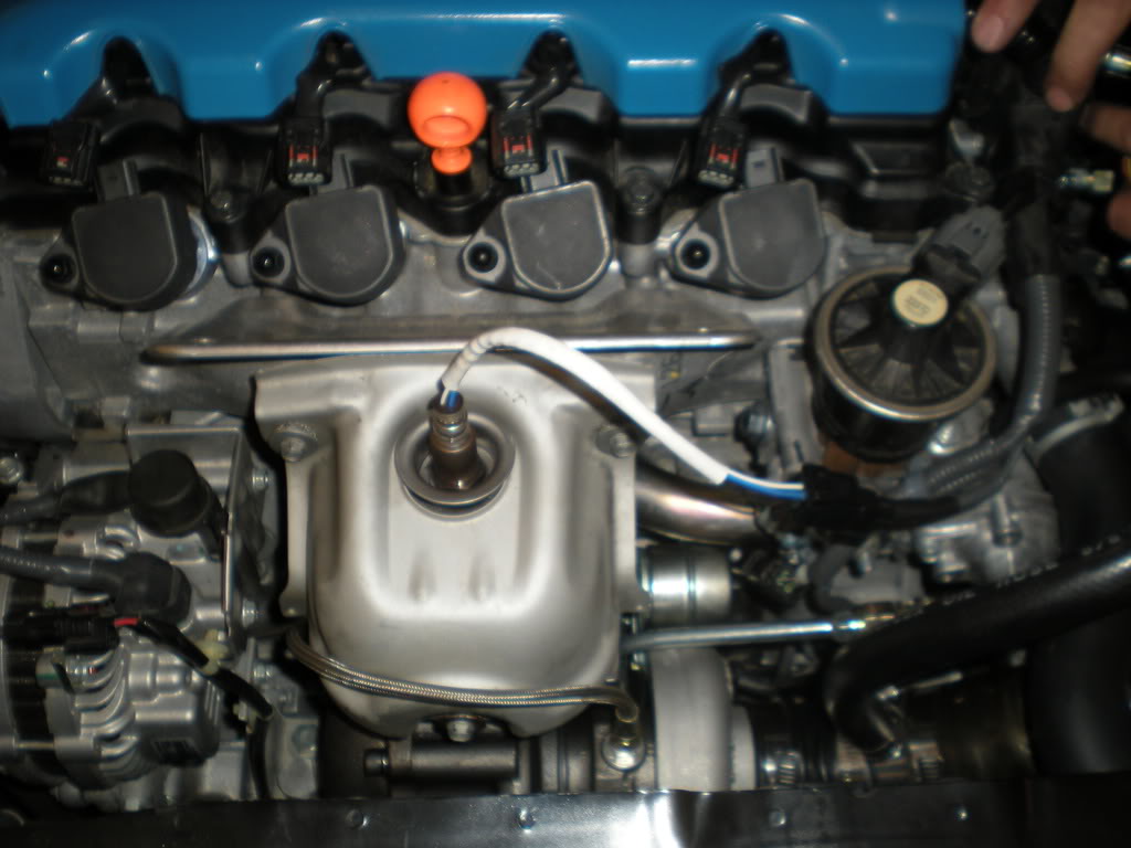 Name:  DSCN1759.jpg
Views: 296
Size:  95.0 KB