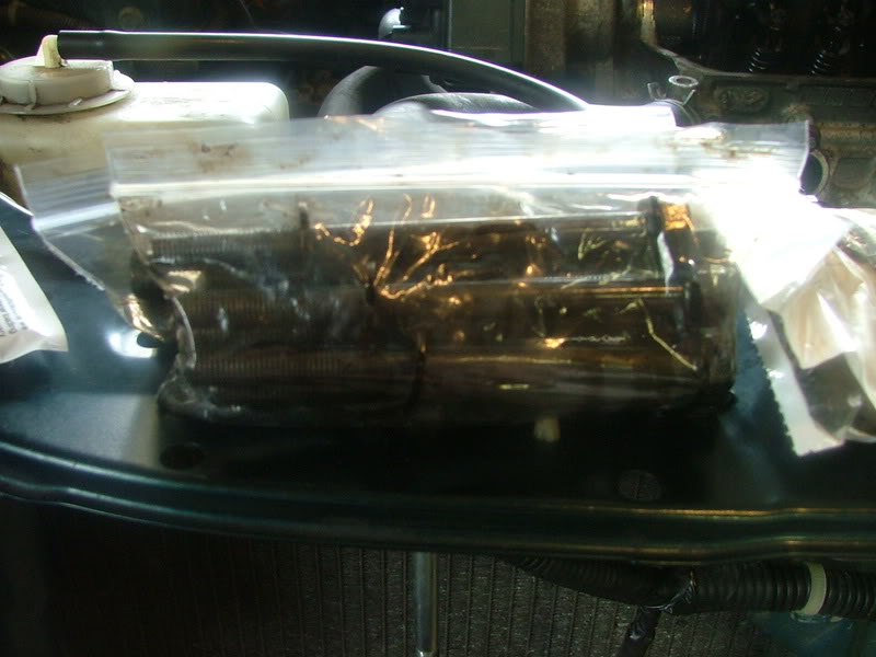Name:  DSCF0975.jpg
Views: 22
Size:  61.1 KB