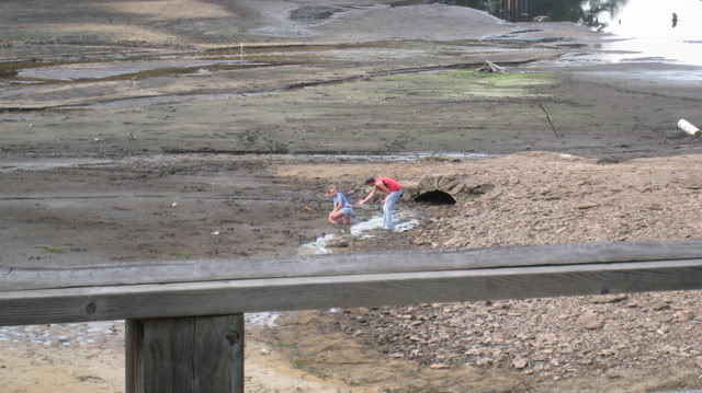 Name: IMG_0381.jpg
Views: 72
Size: 57.8 KB