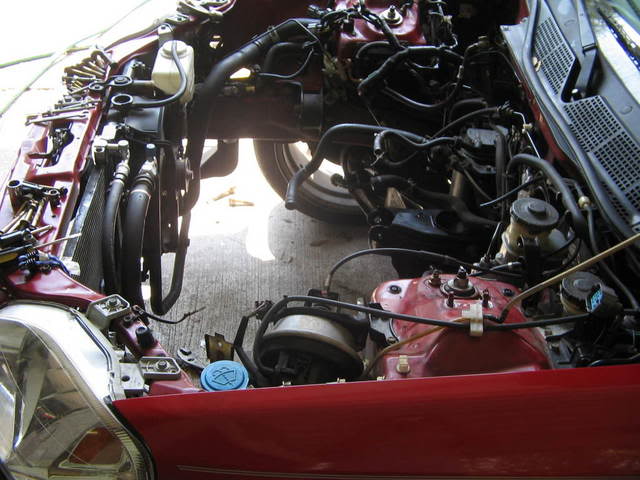Name: IMG_1851.jpg
Views: 45
Size: 56.6 KB