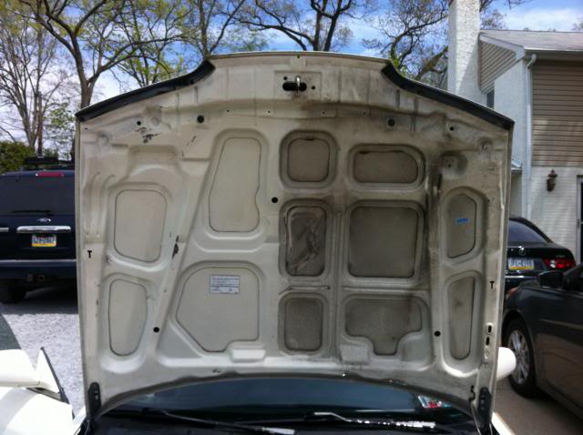 Name: 042813-Underhoodcleaning_zpsf0fa07ab.jpg
Views: 67
Size: 46.2 KB