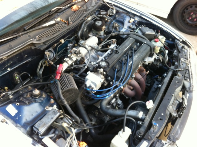 Name:  IMG_0883.jpg
Views: 139
Size:  114.9 KB