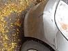 Removing Bumper Dents-pb050277.jpg