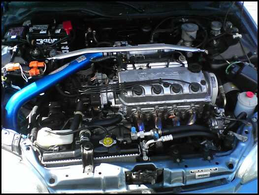 Name:  civic_intake.jpg
Views: 64
Size:  34.4 KB