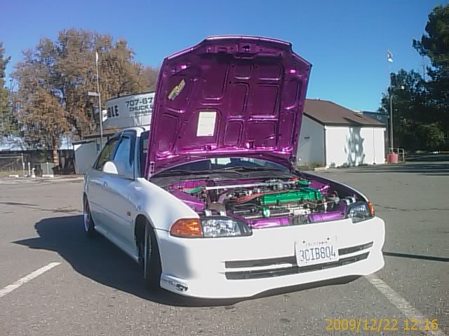Name:  1261515924.jpg
Views: 61
Size:  66.2 KB