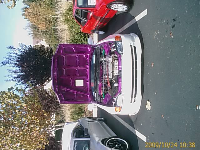 Name:  1258579984.jpg
Views: 21
Size:  77.9 KB