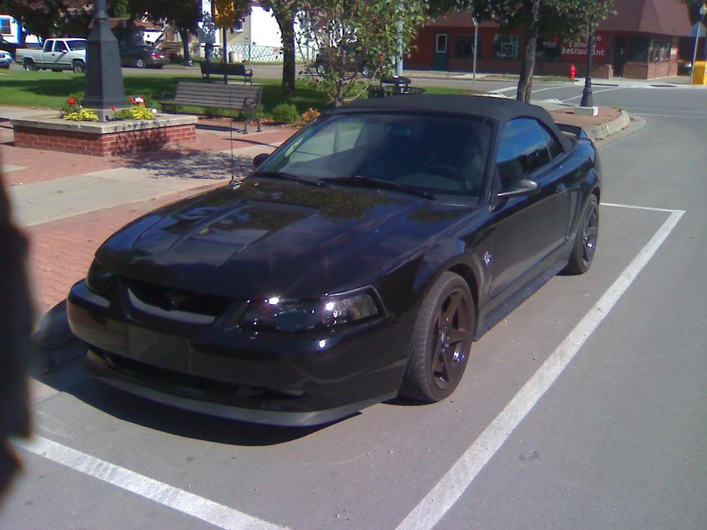 Name: stangfront.jpg
Views: 57
Size: 82.6 KB