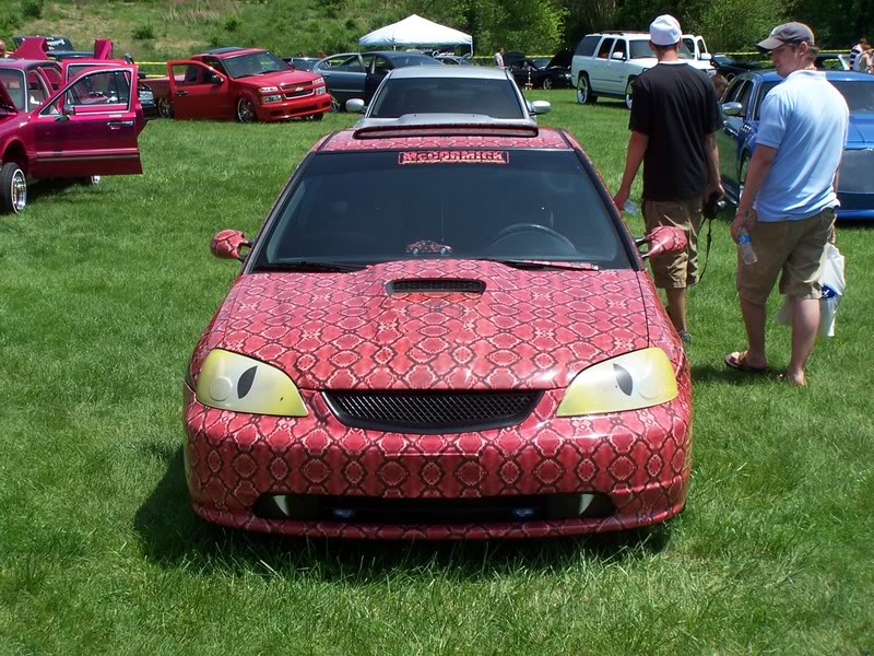 Name:  snakecivicrice.jpg
Views: 61
Size:  155.5 KB