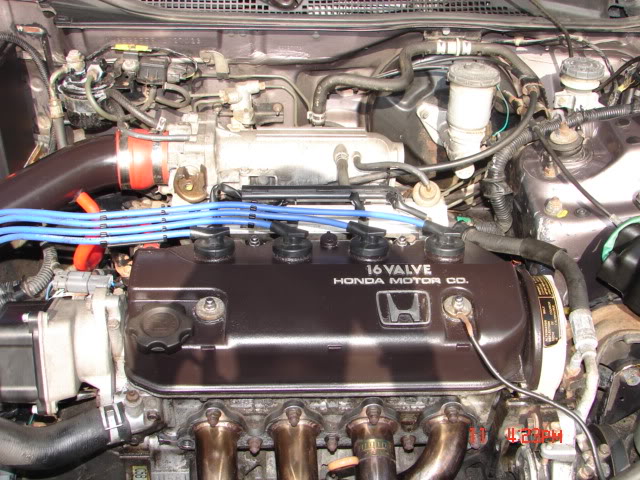 Name:  bay2.jpg
Views: 24
Size:  94.4 KB