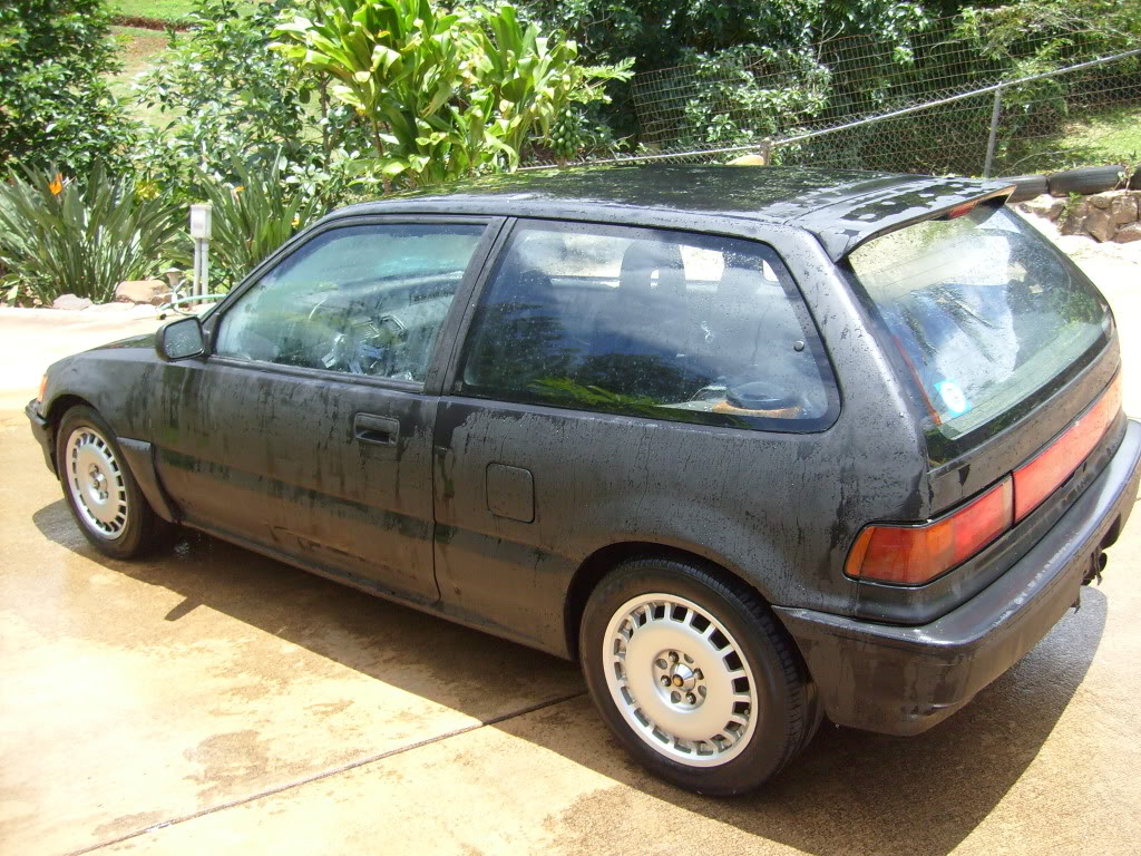 Name:  S7300884.jpg
Views: 233
Size:  261.1 KB