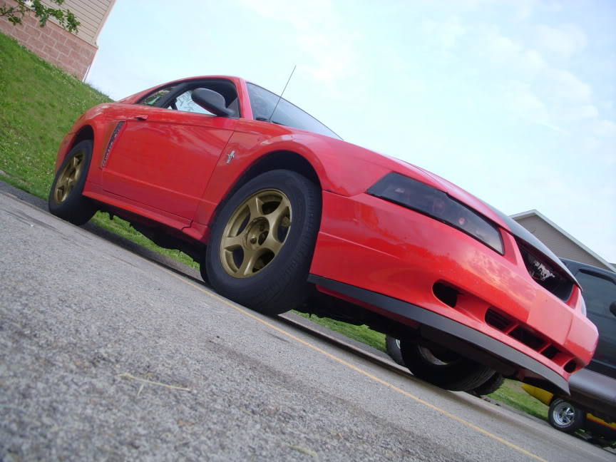 Name: wheelsbronze.jpg
Views: 83
Size: 94.9 KB
