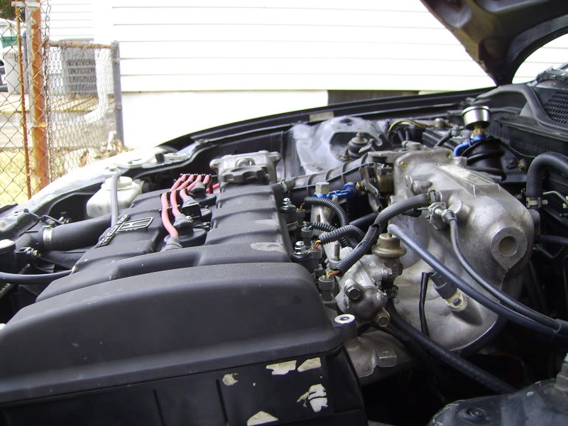 Name:  civic006.jpg
Views: 26
Size:  112.7 KB