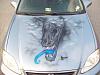 Anyone Else out there got Custom Paint??-103_0028.jpg
