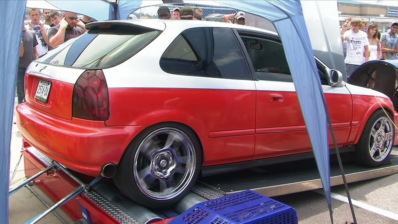 Name:  civette2.jpg
Views: 41
Size:  88.3 KB