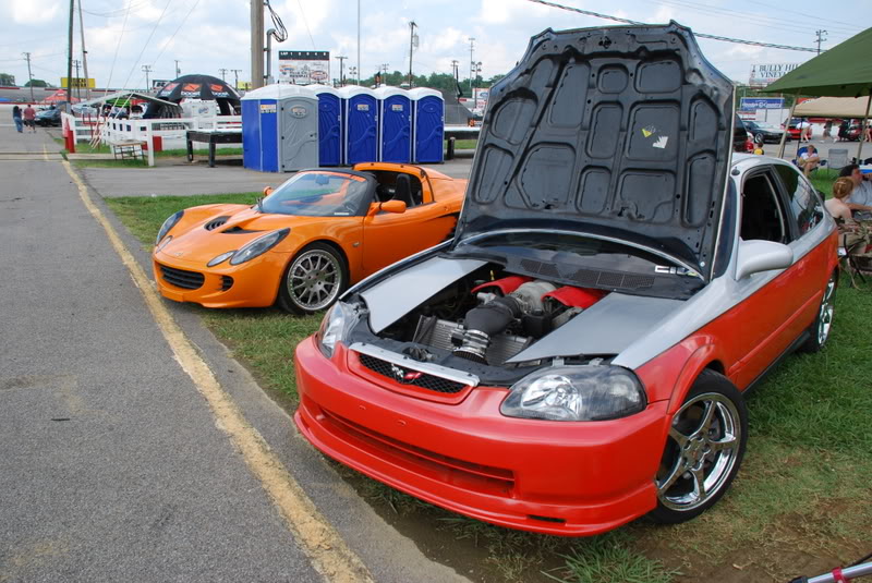 Name:  civette.jpg
Views: 71
Size:  143.5 KB