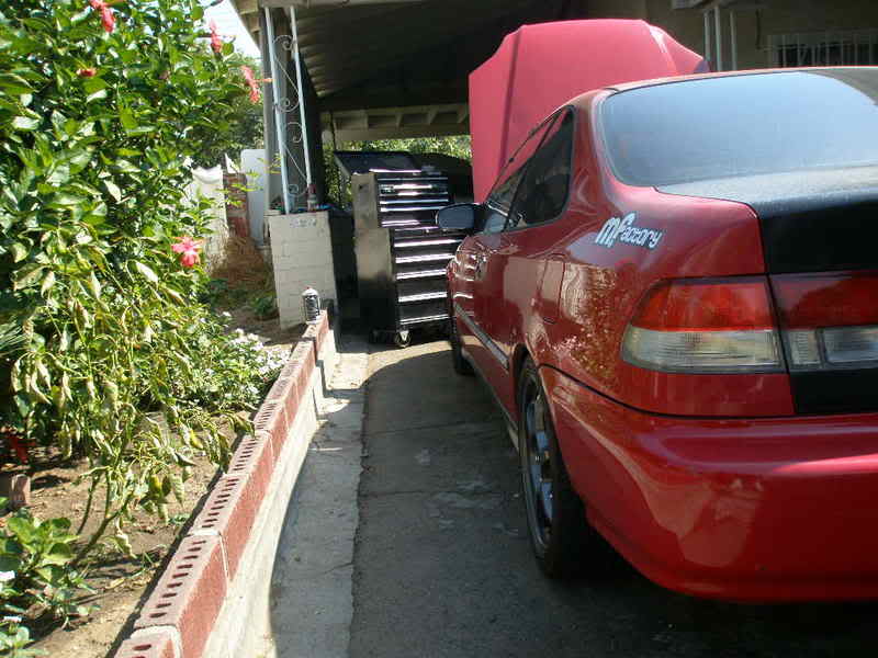 Name:  PA080019.jpg
Views: 154
Size:  57.2 KB