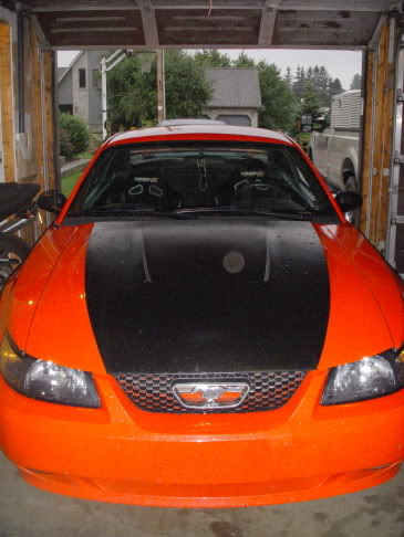 Name: seats2.jpg
Views: 43
Size: 39.2 KB