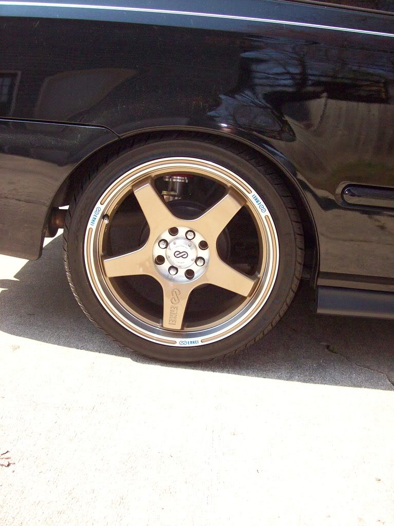 Name:  100_0372.jpg
Views: 43
Size:  107.6 KB