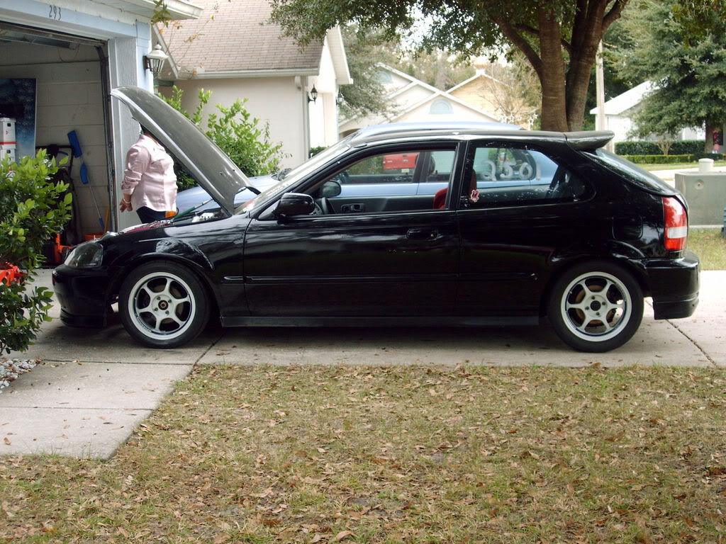 Name:  nellycampics033.jpg
Views: 1130
Size:  201.1 KB
