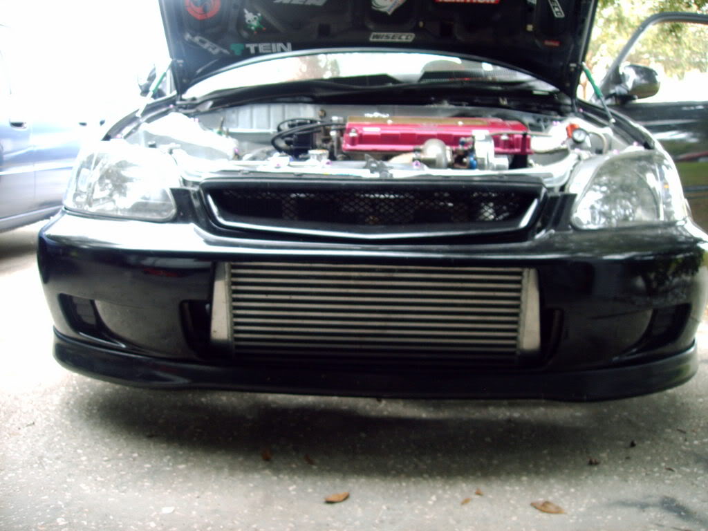 Name:  nellycampics032.jpg
Views: 188
Size:  104.7 KB