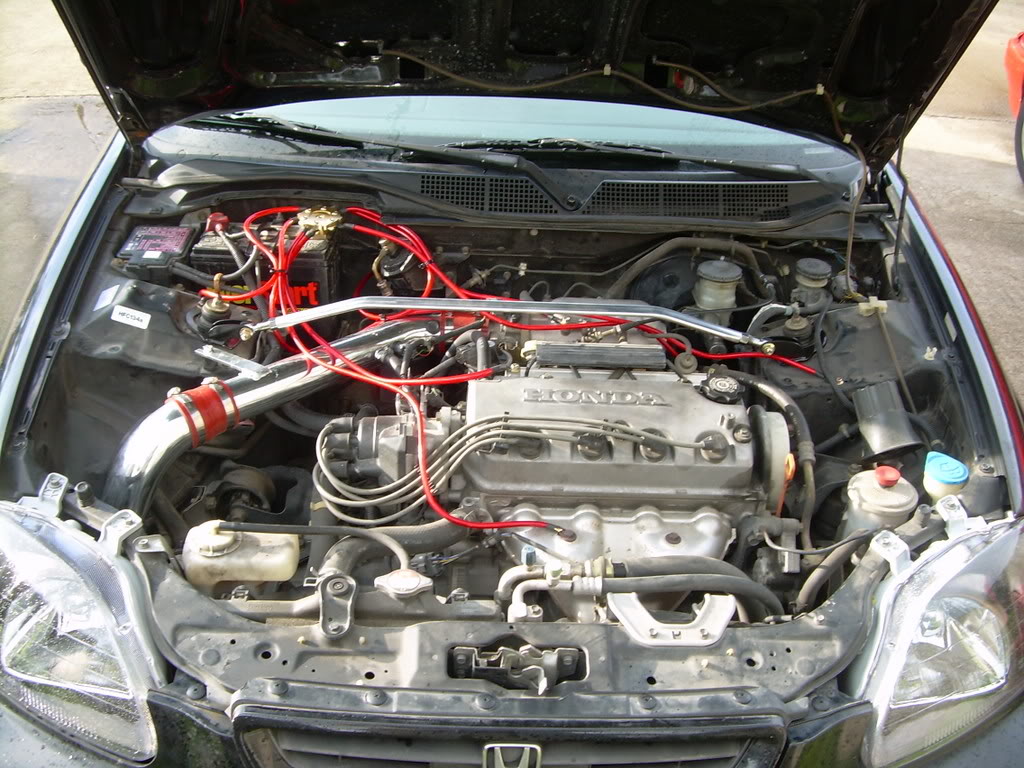 Name:  Groundfull.jpg
Views: 80
Size:  205.4 KB