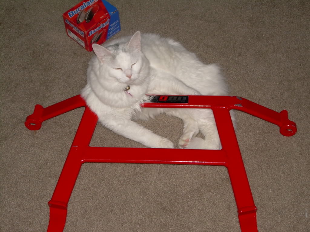 Name: cathbrace.jpg
Views: 57
Size: 174.7 KB