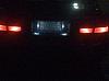 new license plate lights-new-1.jpg