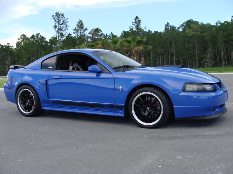 Name:  mach5-16014.jpg
Views: 1417
Size:  106.4 KB