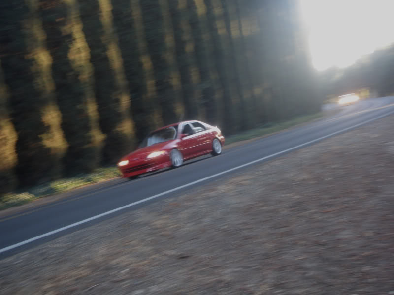 Name:  P9140021.jpg
Views: 424
Size:  48.8 KB