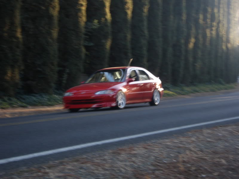 Name:  P9140009.jpg
Views: 411
Size:  68.3 KB