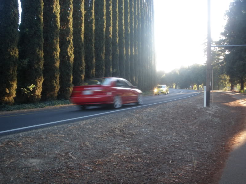 Name:  P9140018.jpg
Views: 397
Size:  113.5 KB