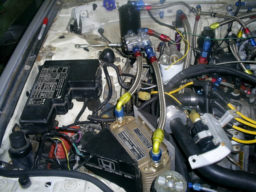 Name:  S4021287.jpg
Views: 76
Size:  182.0 KB
