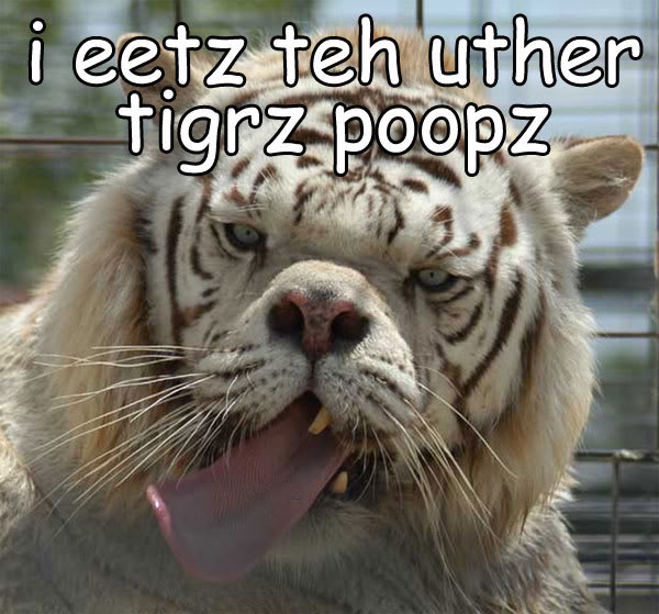 Name:  tigerpoop.jpg
Views: 48
Size:  70.0 KB