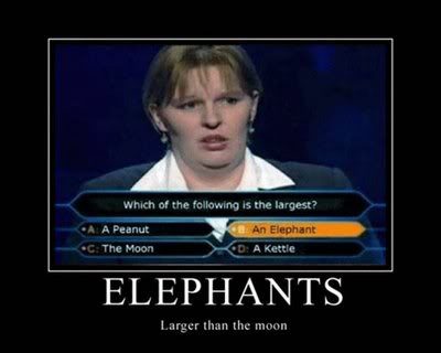 Name:  Elephants.jpg
Views: 47
Size:  15.8 KB