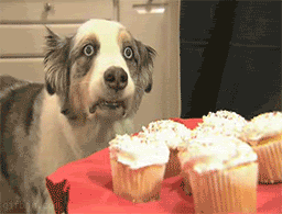 Name:  2nvsb3r.gif
Views: 32
Size:  2.86 MB
