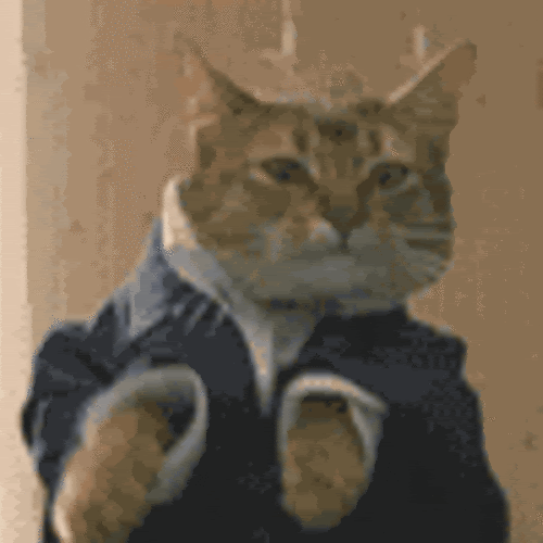 Name:  Cat-bop-500x500.gif
Views: 16
Size:  912.8 KB