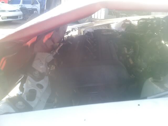 Name:  0_IMAG0250.jpg
Views: 35
Size:  22.0 KB
