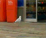 Name:  a53e81c30cb94e06b778.gif
Views: 15
Size:  838.2 KB
