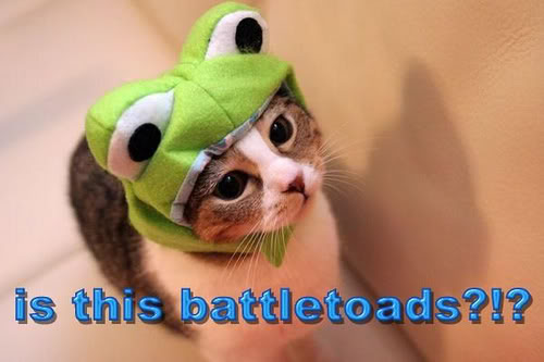 Name:  2284229931_c3d05a89da.jpg
Views: 14
Size:  27.3 KB