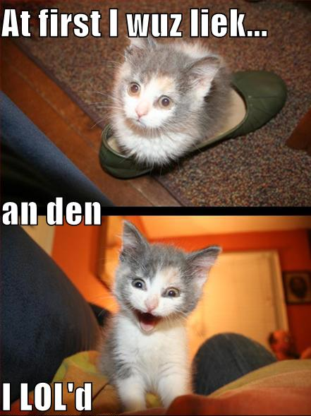 Name:  lol-cat-funny.png
Views: 38
Size:  354.3 KB