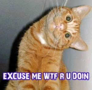 Name:  cat1.jpg
Views: 31
Size:  14.0 KB