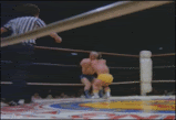 Name:  midgets.gif
Views: 30
Size:  411.7 KB
