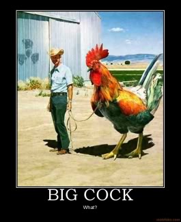 Name:  giantchickenlol.jpg
Views: 28
Size:  19.7 KB