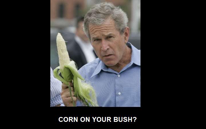 Name:  bush.jpg
Views: 19
Size:  22.1 KB